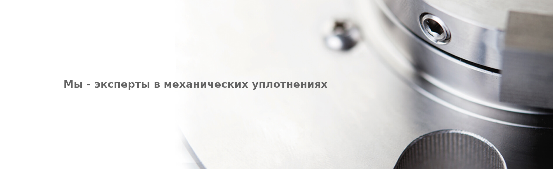 banner_seal_3.png